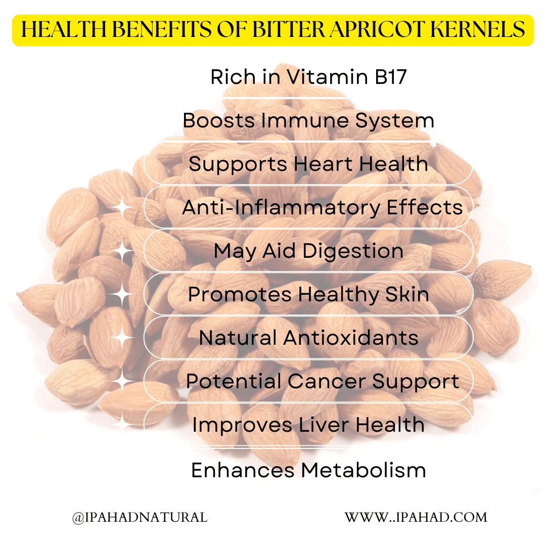 Health Benefits of Bitter Apricot Kernels - Ipahad