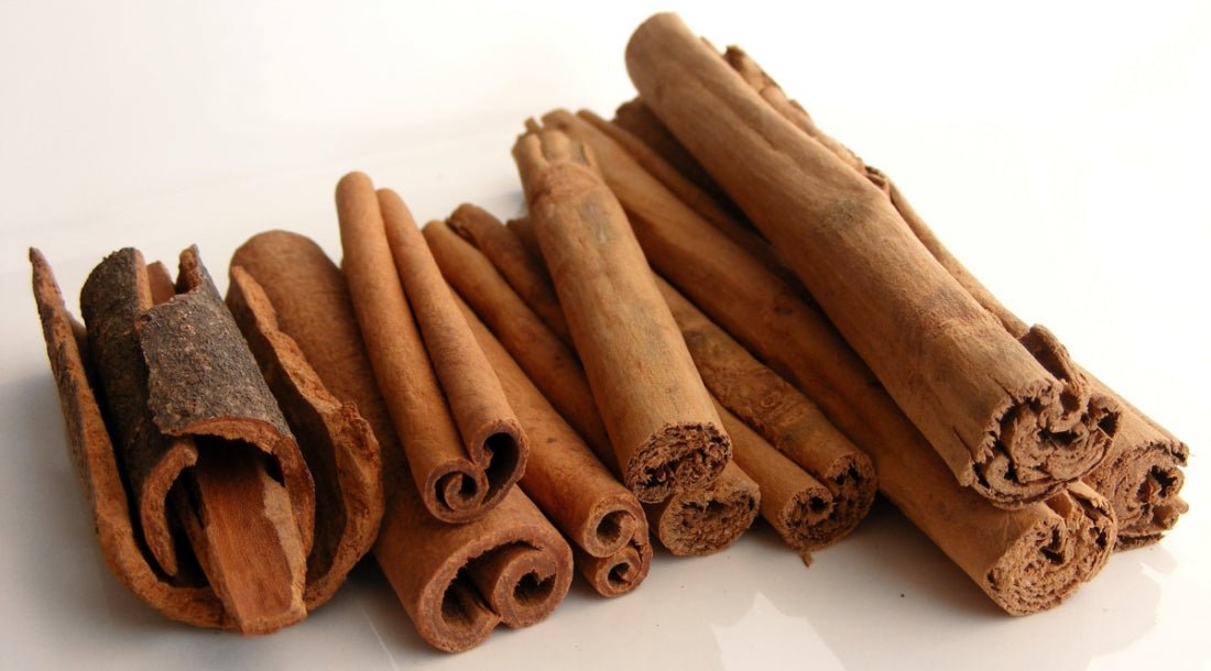 Himalayan Cinnamon Stick / Uttarakhand Dalchini