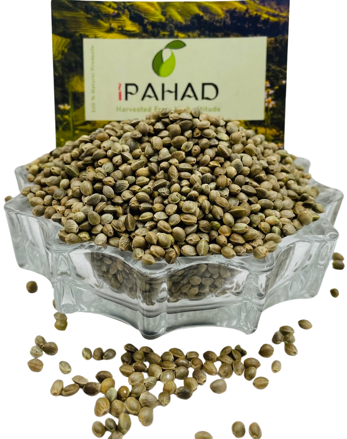 Himalayan Hemp Seeds (Bhang Dana) nutrient-dense superfood, Naturally Grown