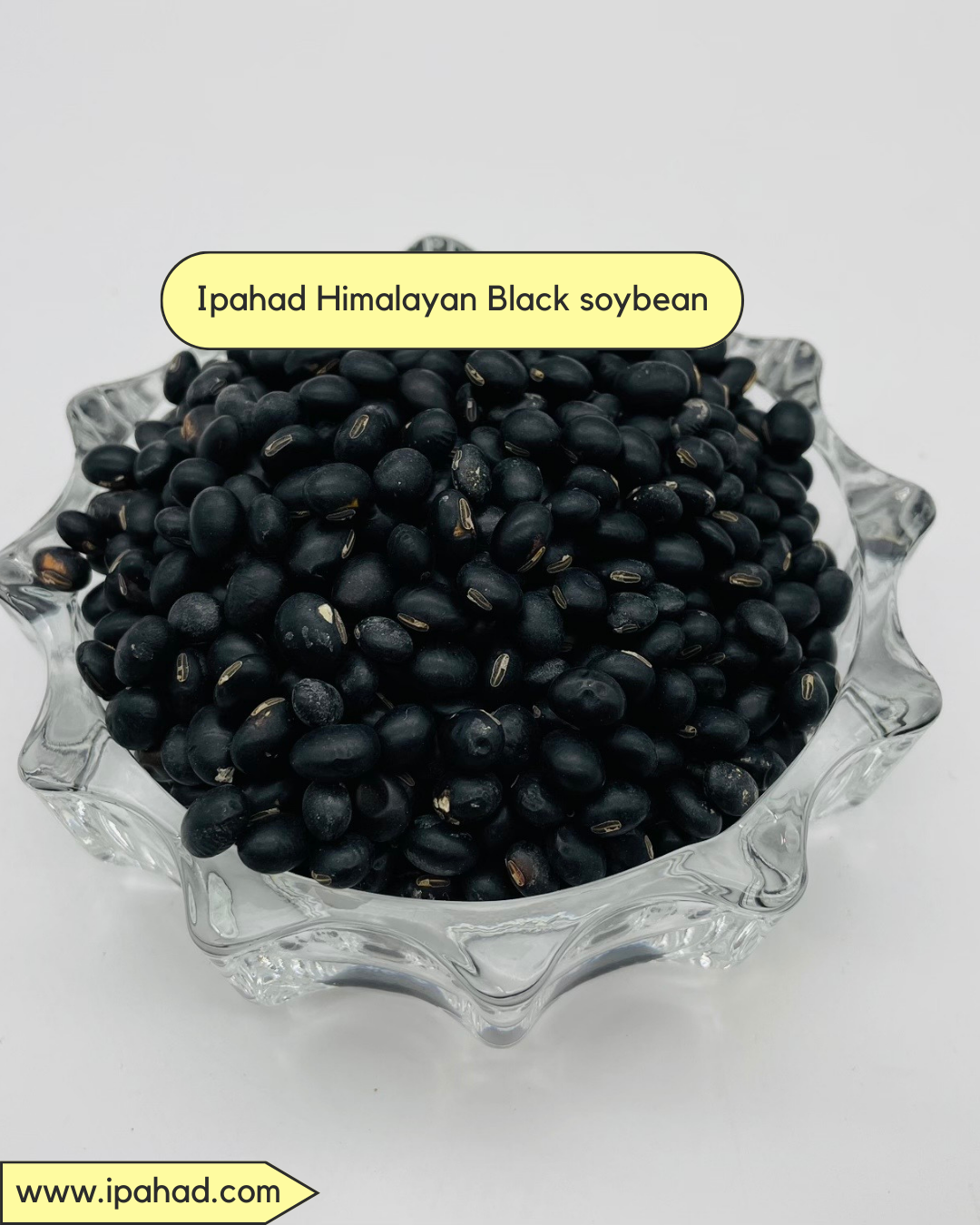Himalayan Black soybean (Bhatt Dal /Turtle Beans)