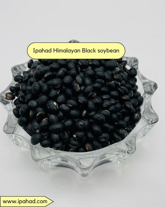 Wholesale Himalayan Black soybean (Bhatt Dal /Turtle Beans) Bulk Quantity