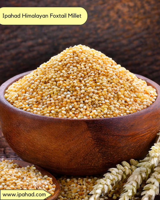 Himalayan Foxtail Millet (Navane / Korralu / Thinai / Kakum / Thina – Naturally Grown) 750 Gram