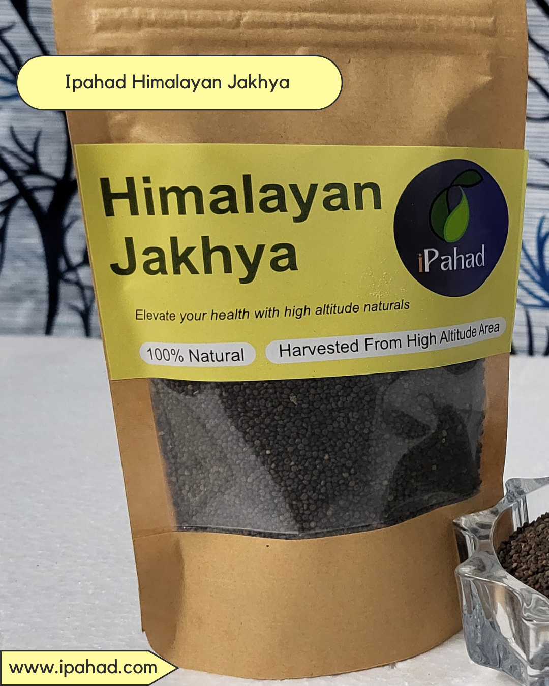 Himalayan Jakhya (wild mustard) Uttarakhand Jakhiya