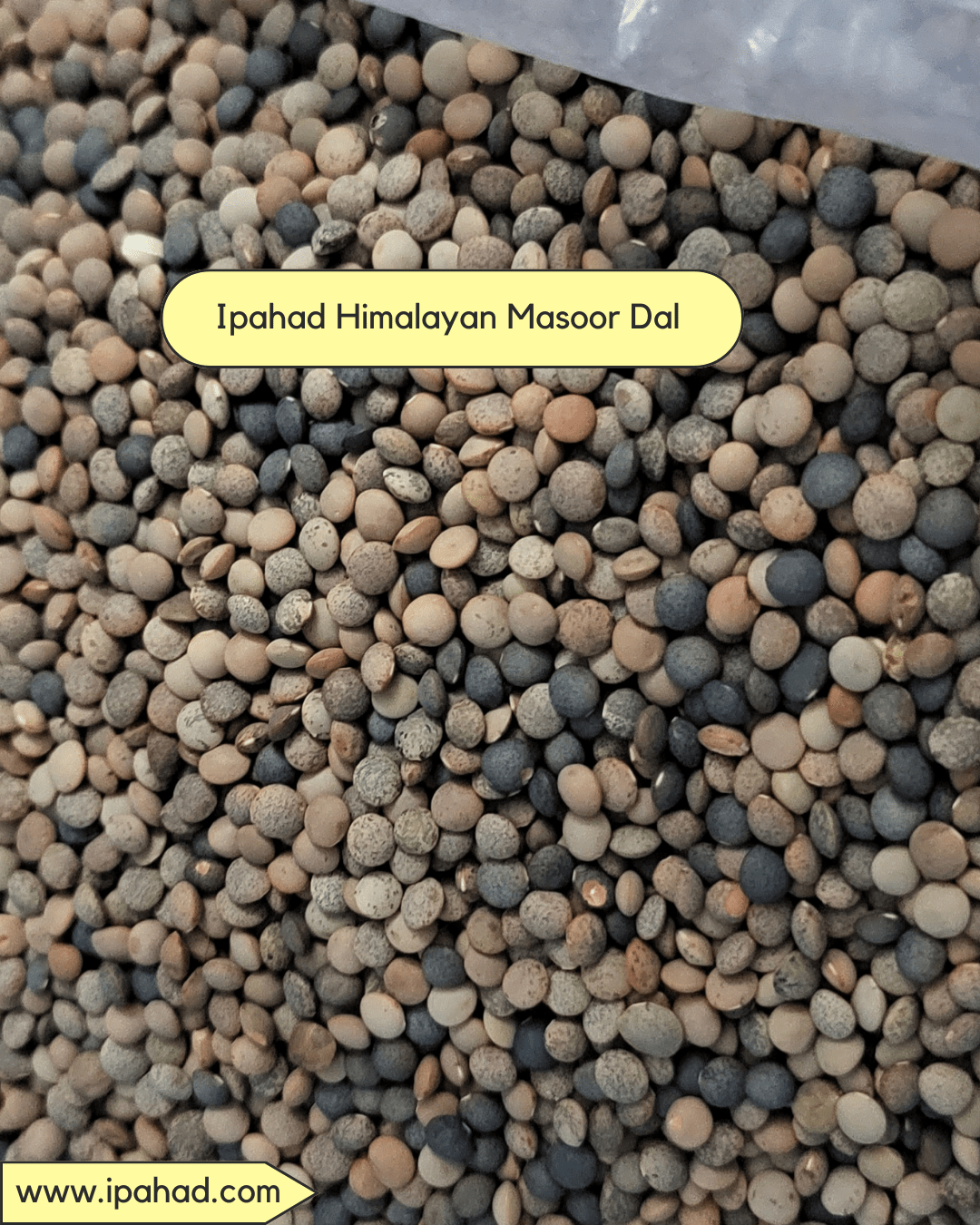 Himalayan Masoor Dal