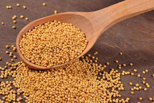 Himalayan Yellow Mustard seeds (Uttarakhand Peeli Sarson ka beej)