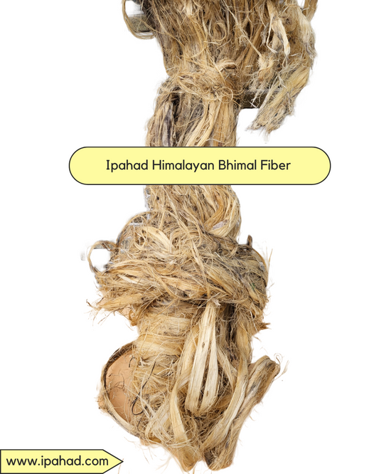 Himalayan Bhimal Fiber (Grevia optiva fibere)