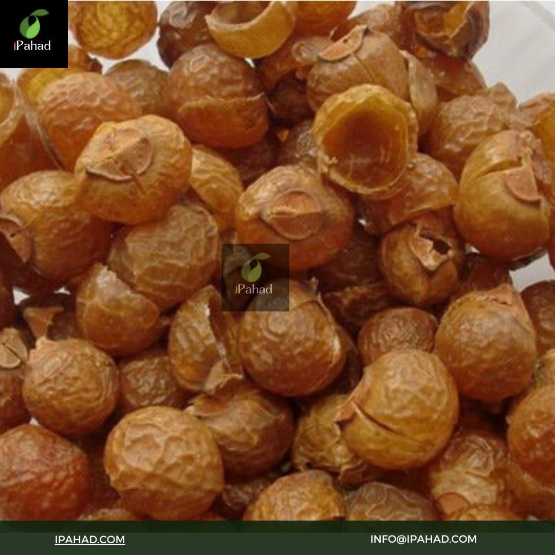 Himalayan Soap Nuts (Reetha)