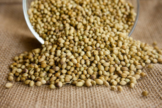 Himalayan Coriander Seeds (Uttarakhand Sabut Dhaniya)