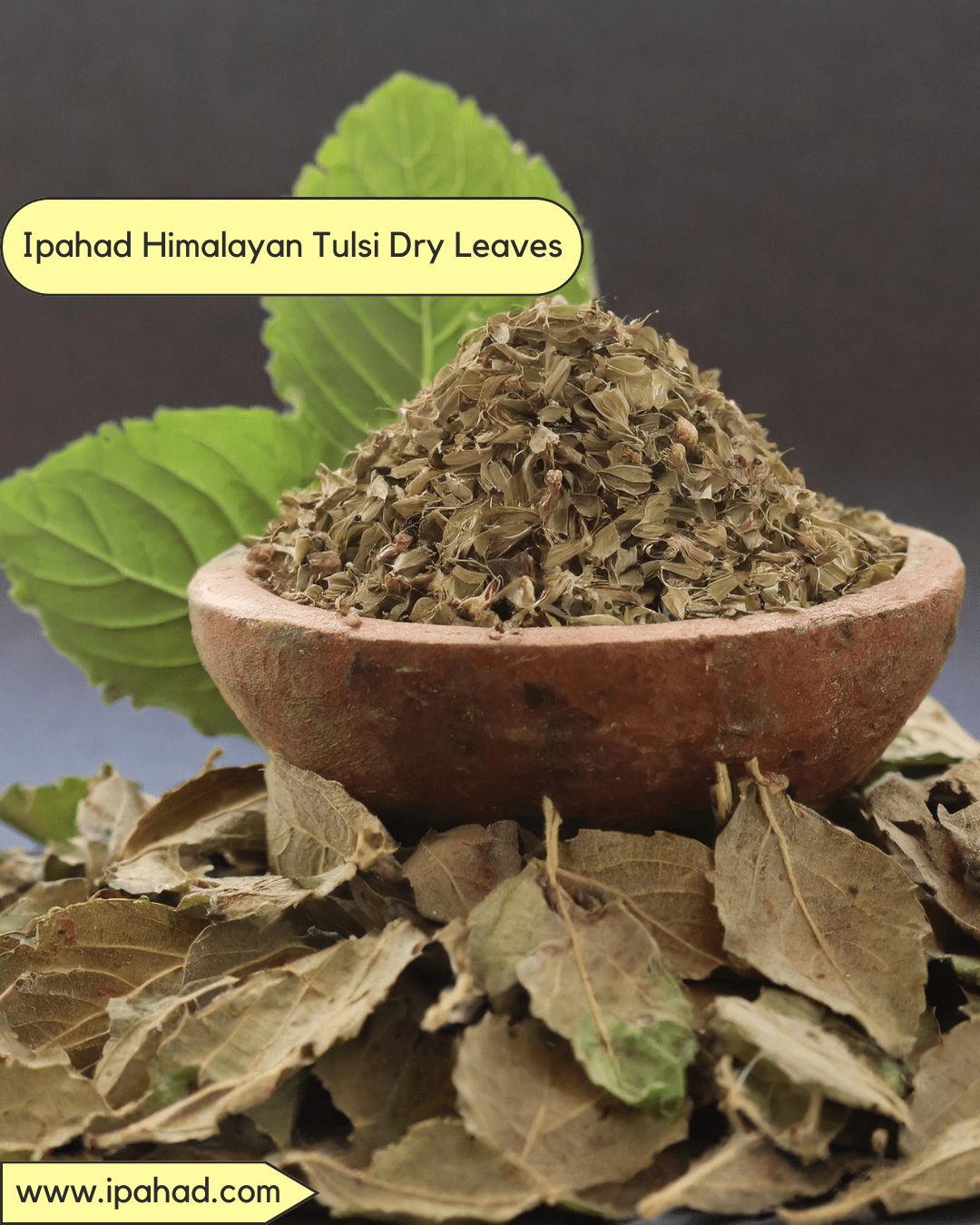 Himalayan Tulsi Dry Leaves, Naturally Grown 100 Gram - Ipahad