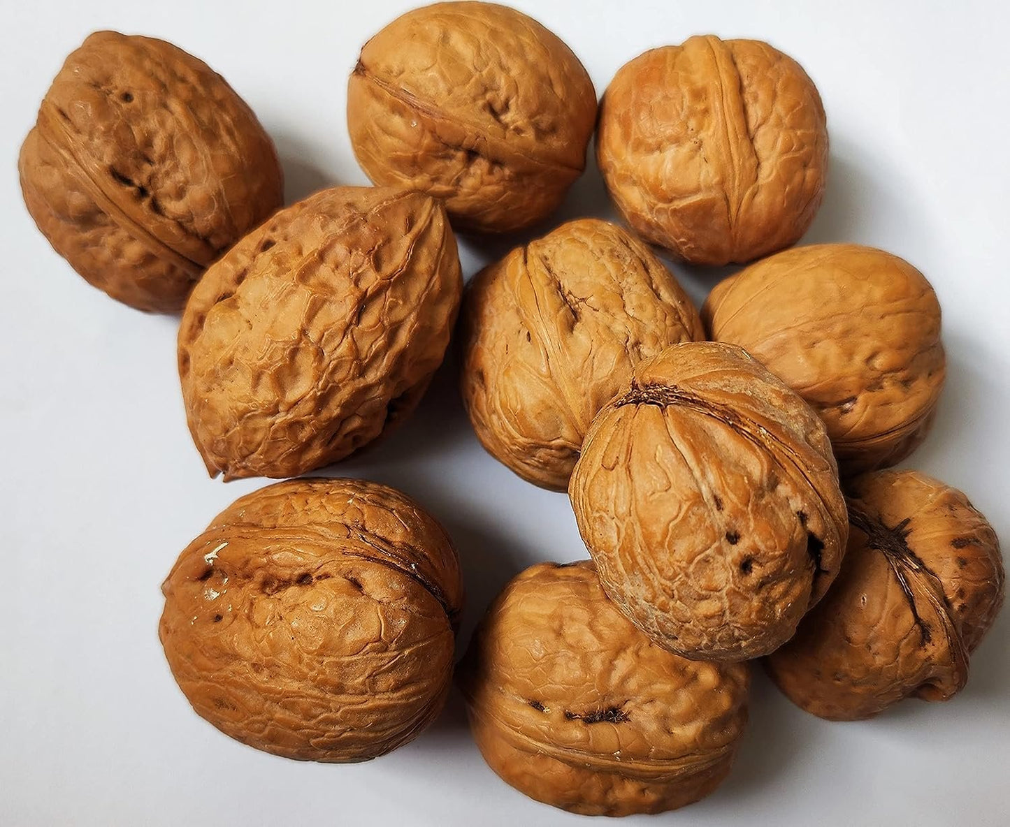 Himalayan Walnut (Pahadi Akhrot)