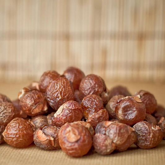 Himalayan Soap Nuts (Reetha)