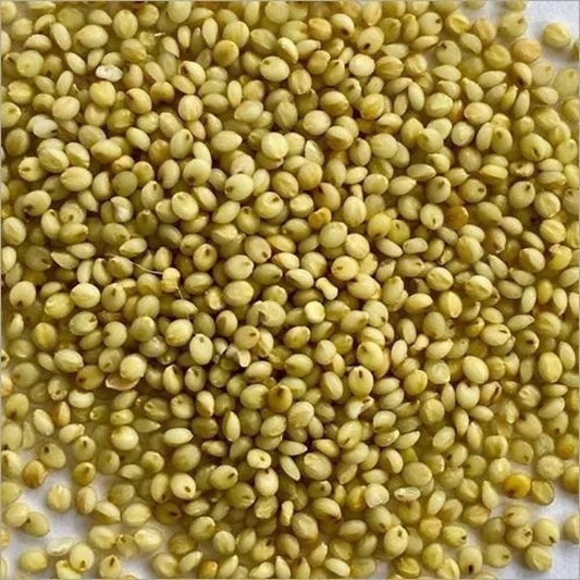 Himalayan Browntop Millet (Andu Korralu / Korale – Naturally Grown) 750 Gram