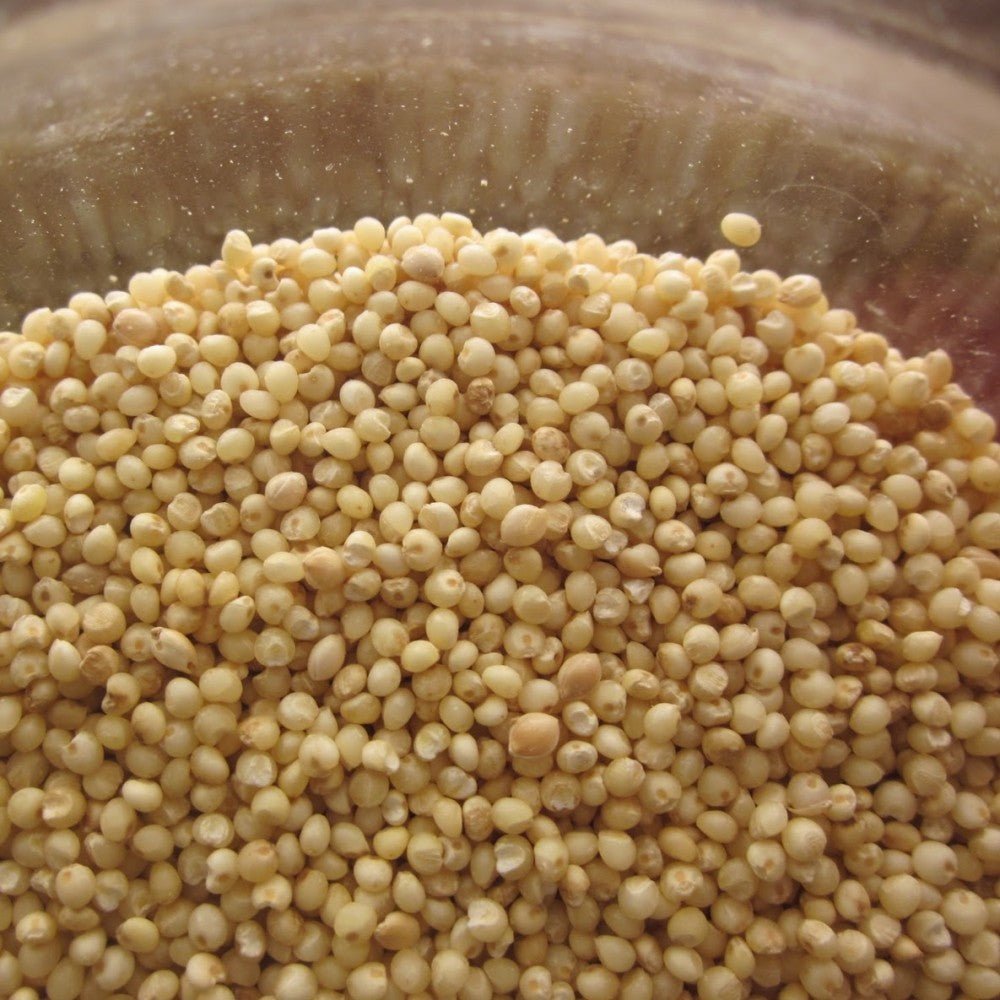 Himalayan Kodo Millet (Harka / Arikelu / Varagu / Koden / Koovaragu – Naturally Grown) 750 Gram