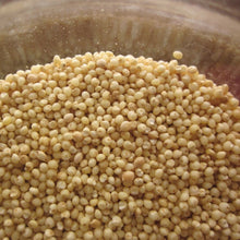 Himalayan Kodo Millet (Harka / Arikelu / Varagu / Koden / Koovaragu – Naturally Grown) 750 Gram