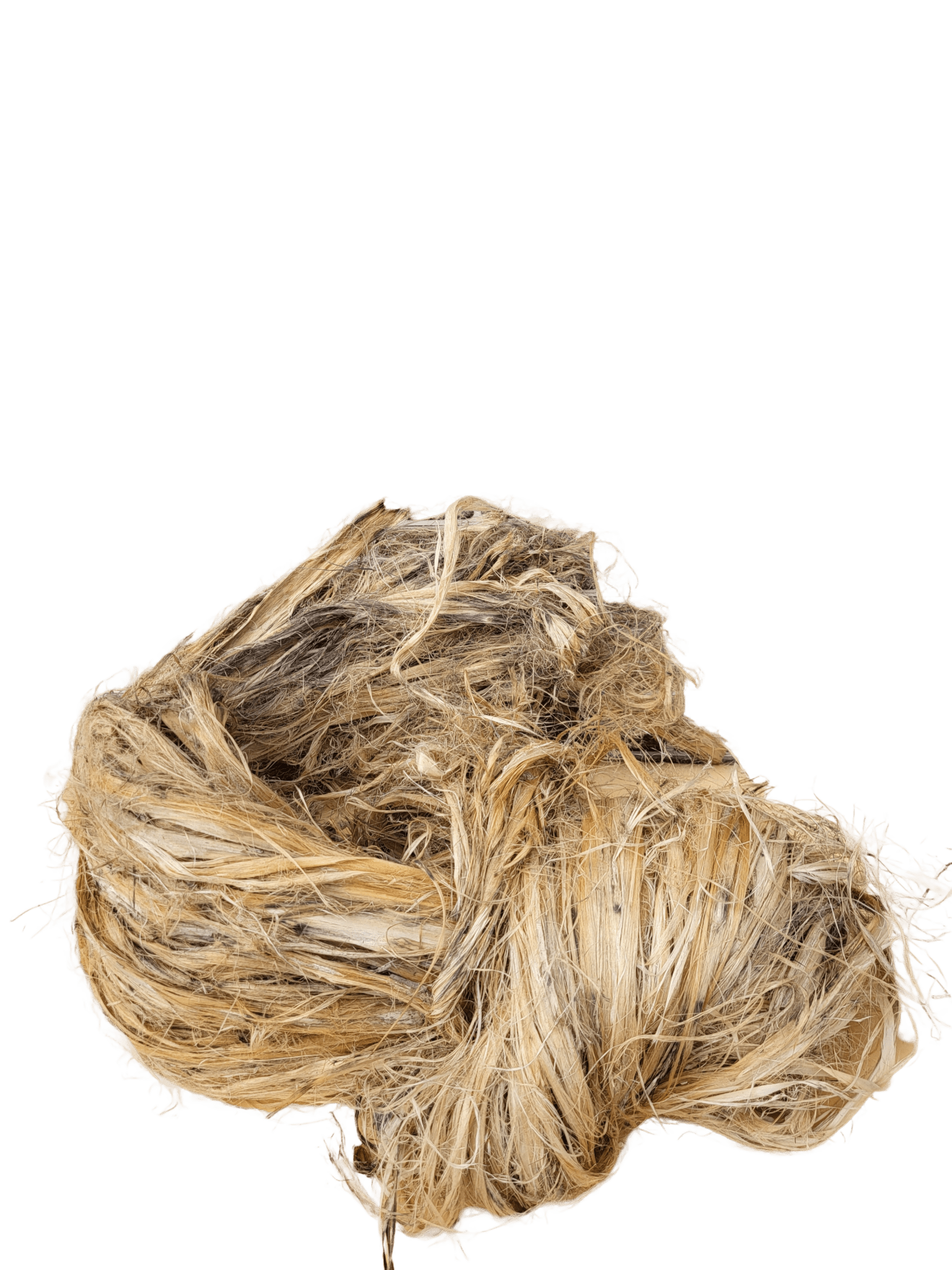 Wholesale Bhimal Fiber (Grevia optiva fibere) Buy in Bulk Quantity - Ipahad