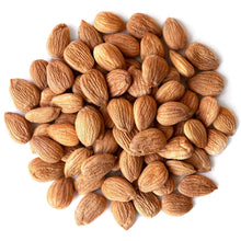 Wholesale Himalayan Bitter Apricot Kernels (khumani Giri) , Apricot Seeds Without Shell, Buy in Bulk Quantity - Ipahad