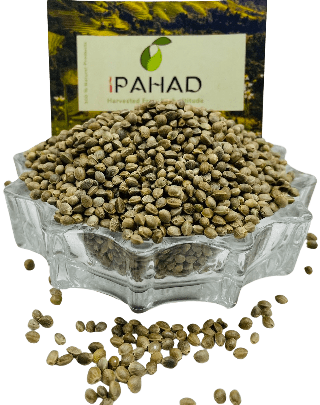 Wholesale Himalayan Hemp Seeds (Bhang Dana) Buy in Bulk Quantity - Ipahad