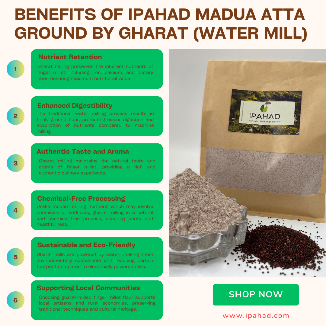 Wholesale Himalayan Madua Atta / Ragi flour ground by gharat (Water Milled), Naturally Grown - Ipahad